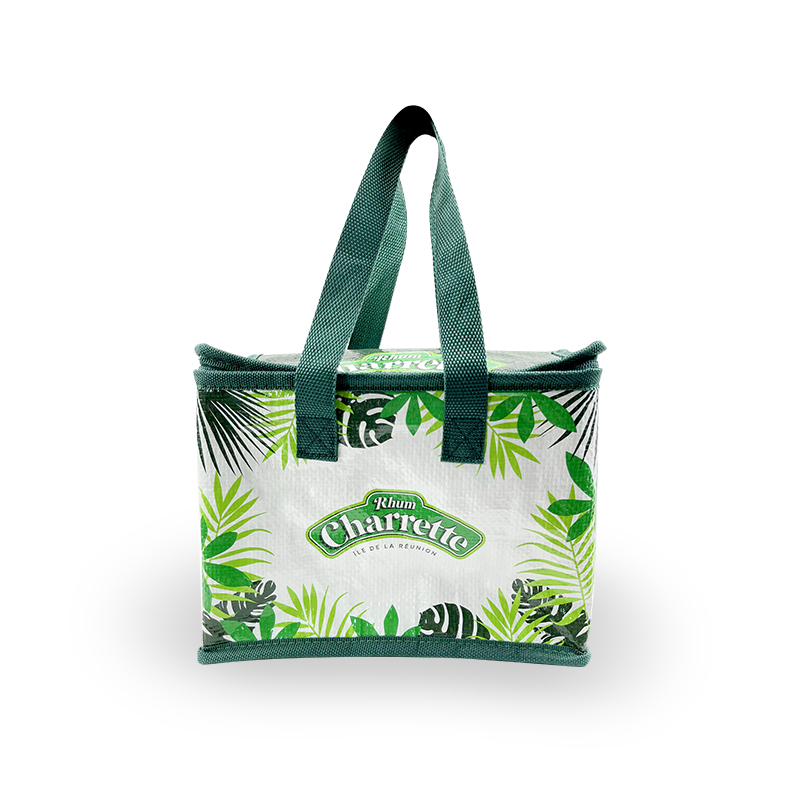 Cooler Lunch Bag 2