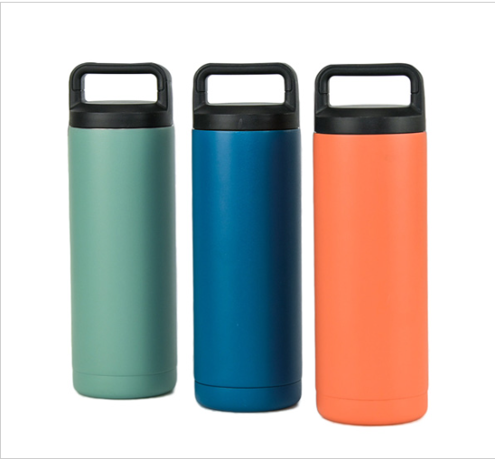18oz SS Insulated Bottle