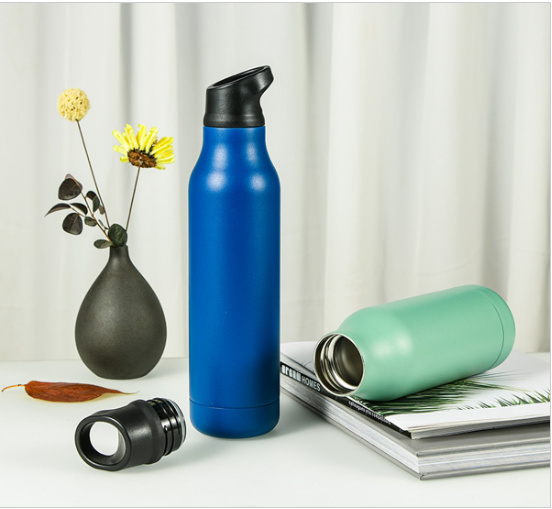 19oz SS Insulated Bottle