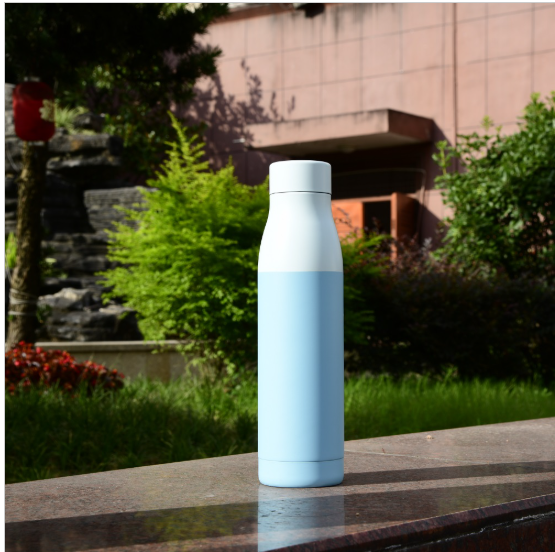 20oz SS Insulated Bottle