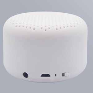 Wireless Speaker