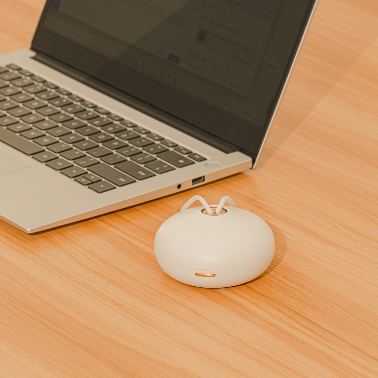 Car Air Freshener 004