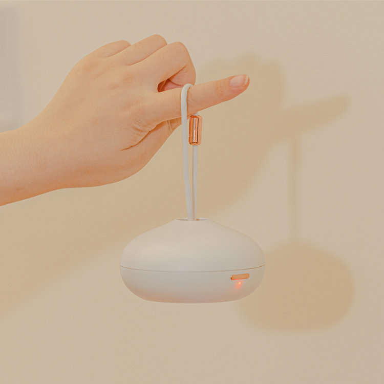 Car Air Freshener 004