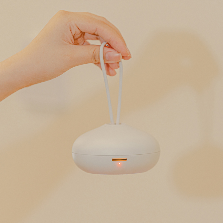 Car Air Freshener 004