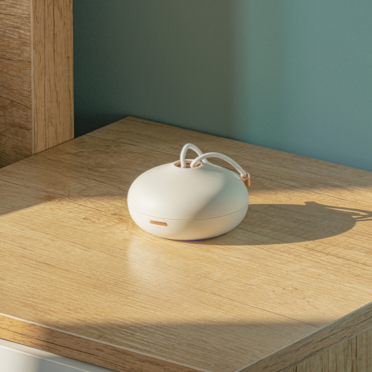 Car Air Freshener 004