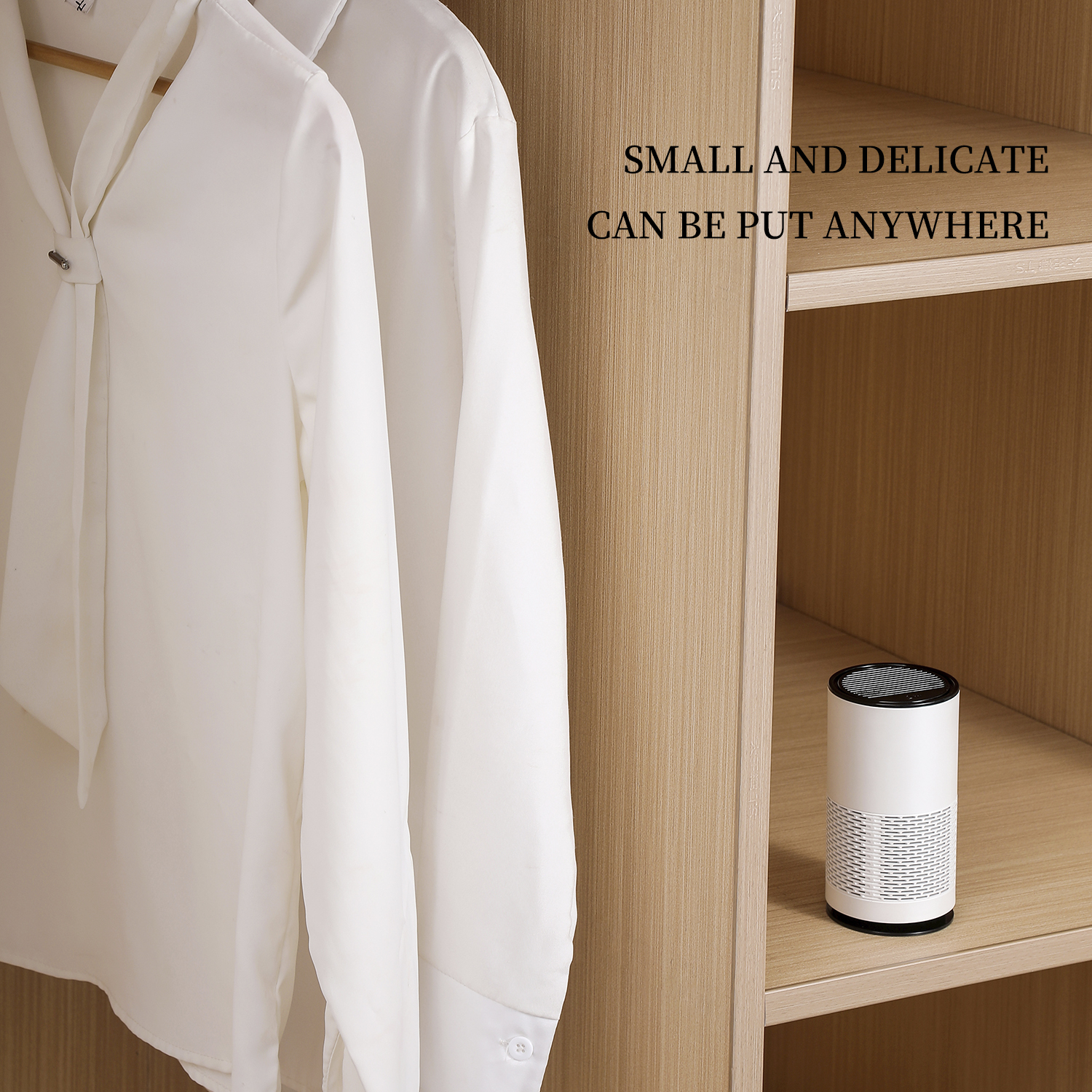 Car Air Freshener 006