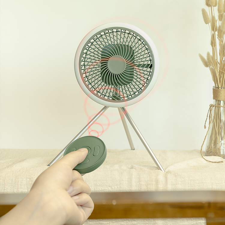 Mini Fan 018
