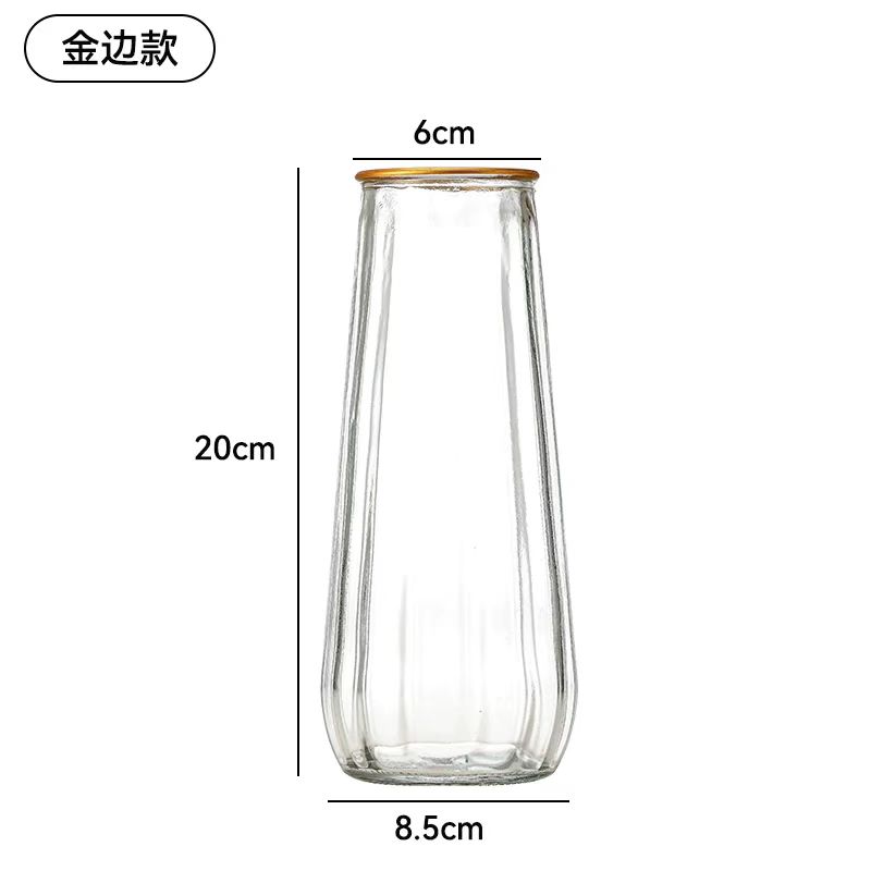 Glass Vase 011
