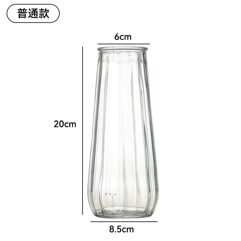 Glass Vase 011